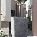 Apartman Noah *