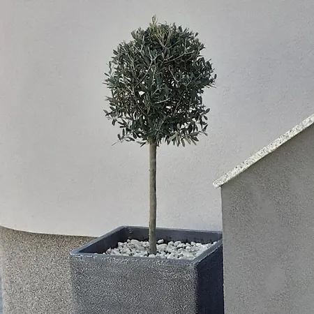 Appartement Noah Zadar