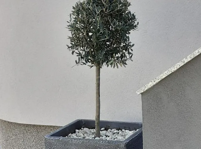 아파트 Noah 자다르