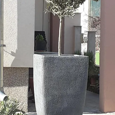 דירה Noah *